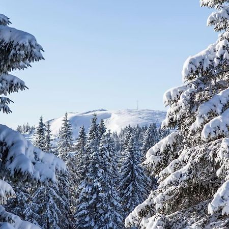 Waldtwin 2 Titisee Exteriör bild