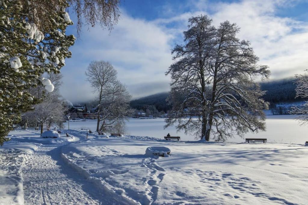 Waldtwin 2 Titisee Exteriör bild