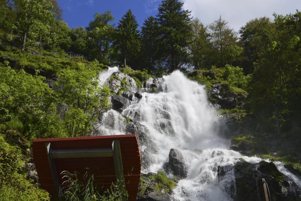 Waldtwin 2 Titisee Exteriör bild