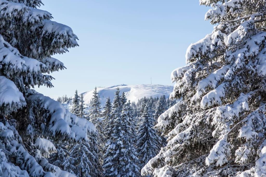 Waldtwin 2 Titisee Exteriör bild